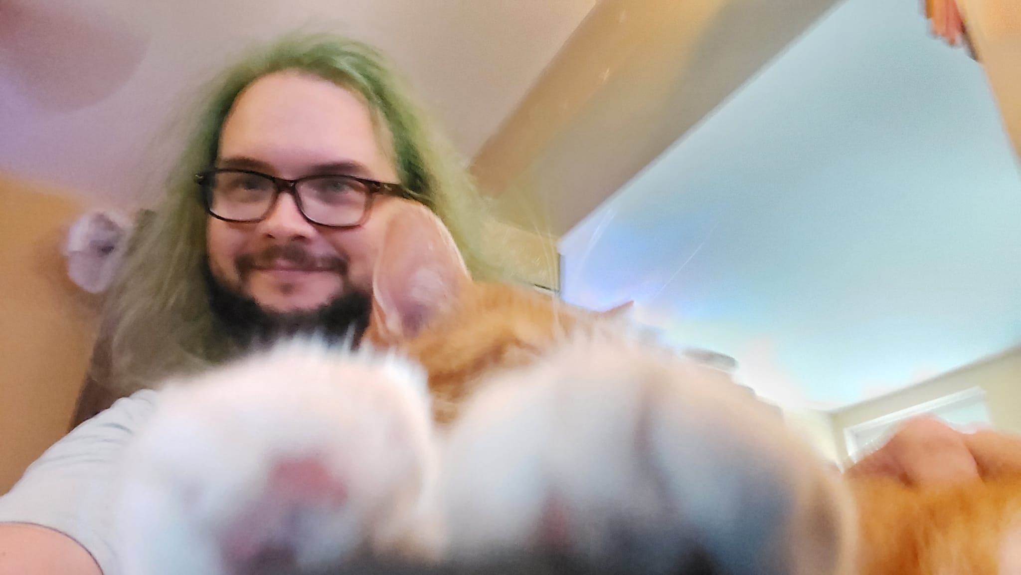 A man with green hair sits in a computer chair inside, with an orange cat in his lap, Photo 3